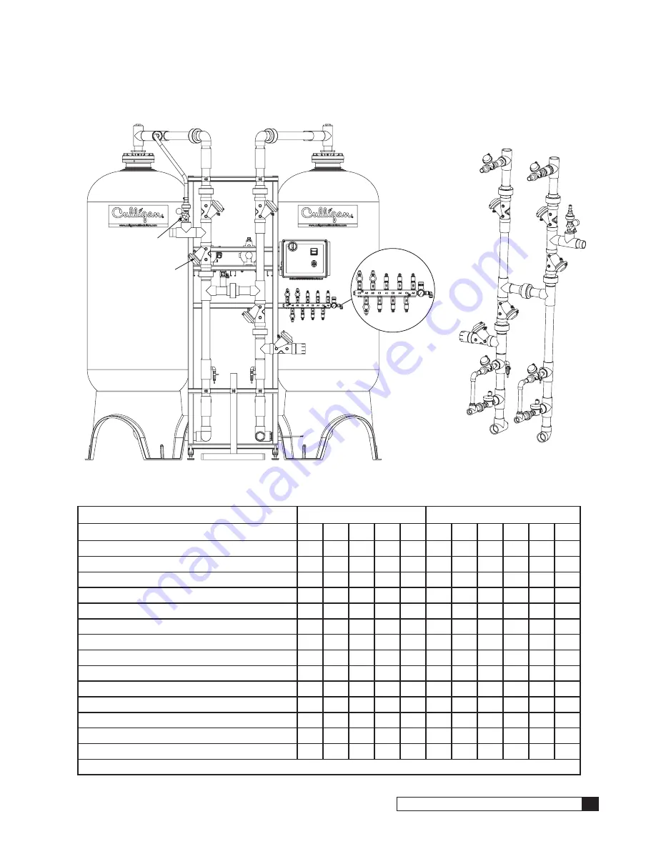 Culligan Premier Series Скачать руководство пользователя страница 19