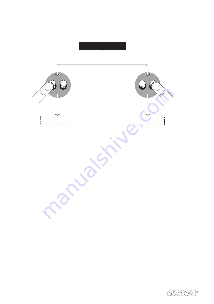 Custom Audio Electronics TG1260H User Manual Download Page 18