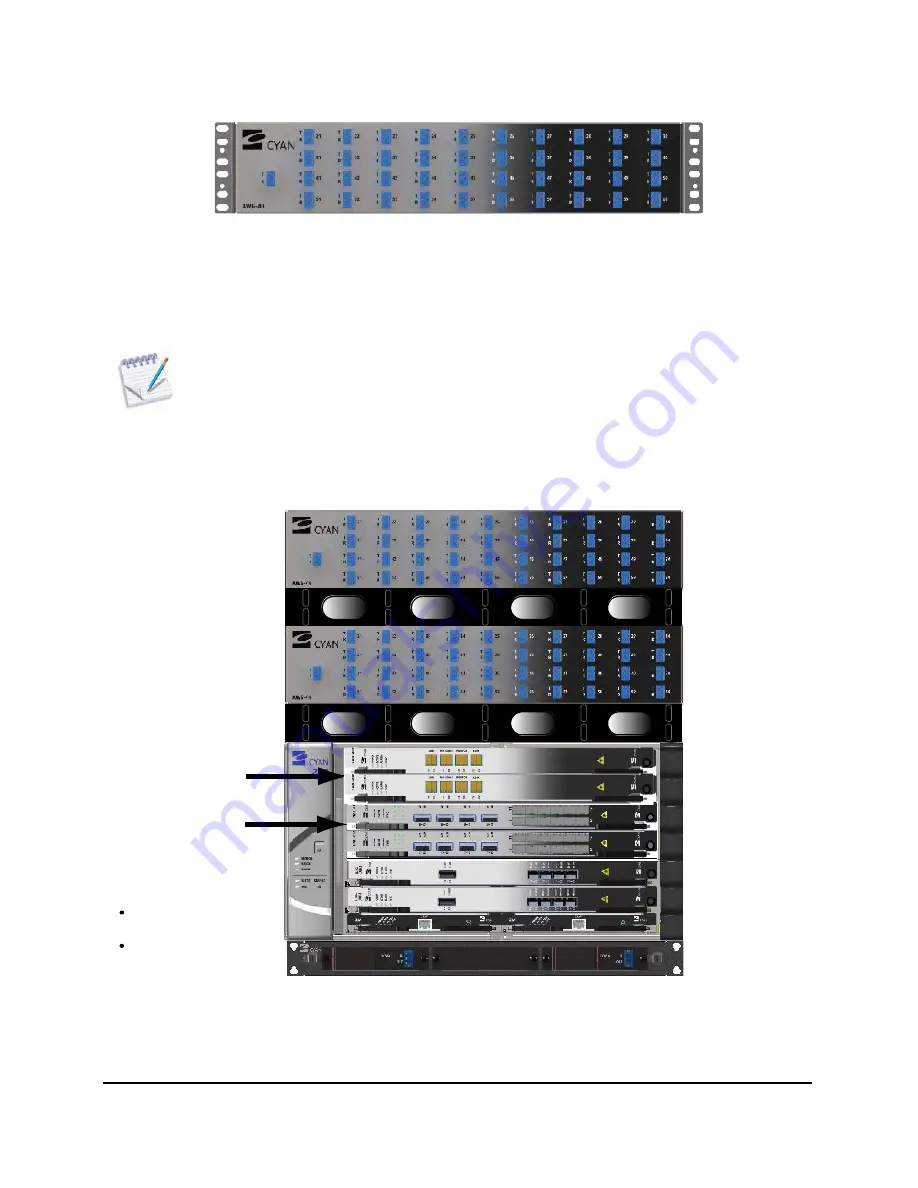 Cyan L-AMP Скачать руководство пользователя страница 51