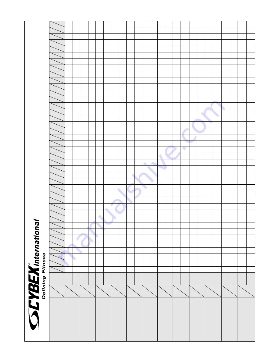 CYBEX VR2 Owner'S And Service Manual Download Page 28