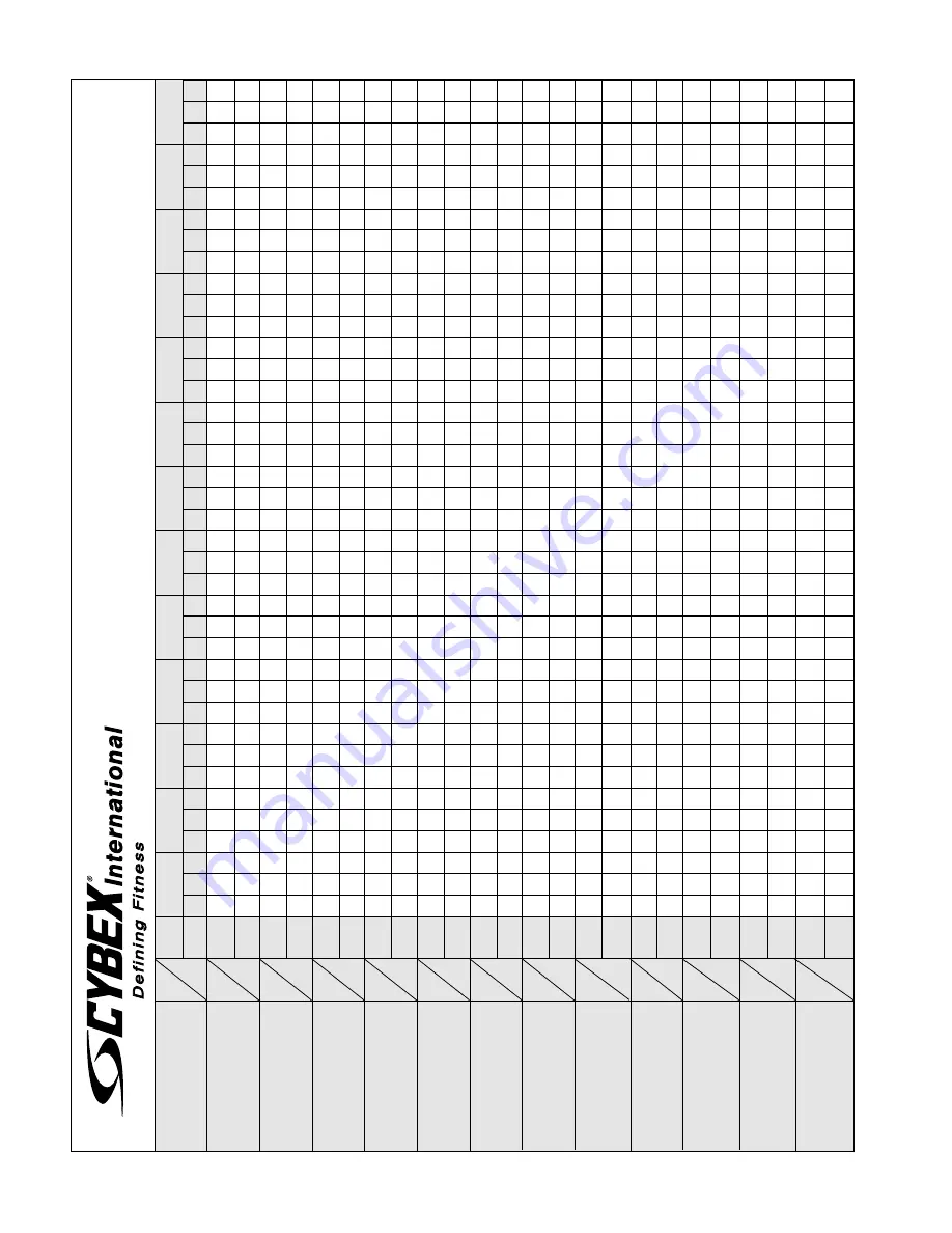 CYBEX VR2 Owner'S And Service Manual Download Page 31