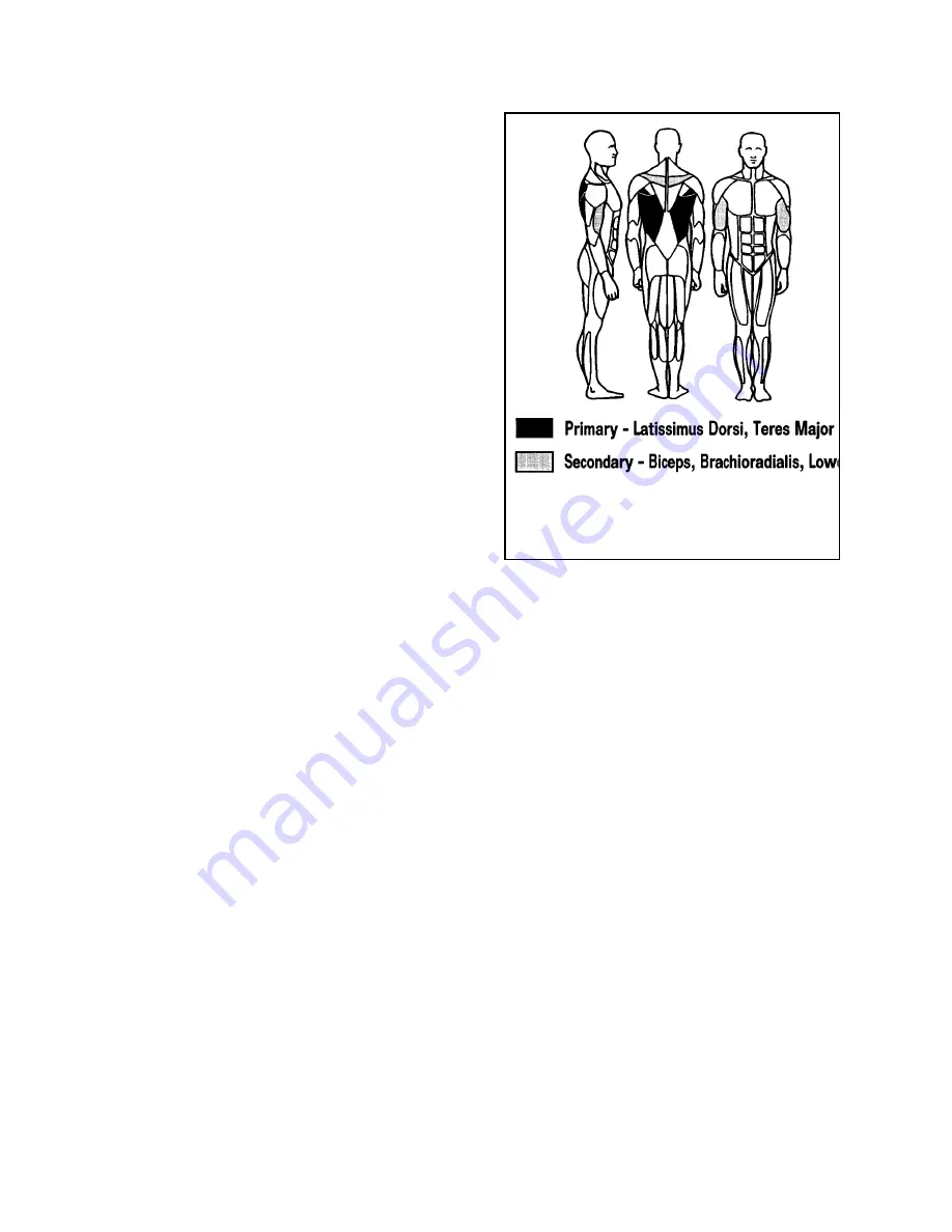 CYBEX VR2 Owner'S And Service Manual Download Page 69