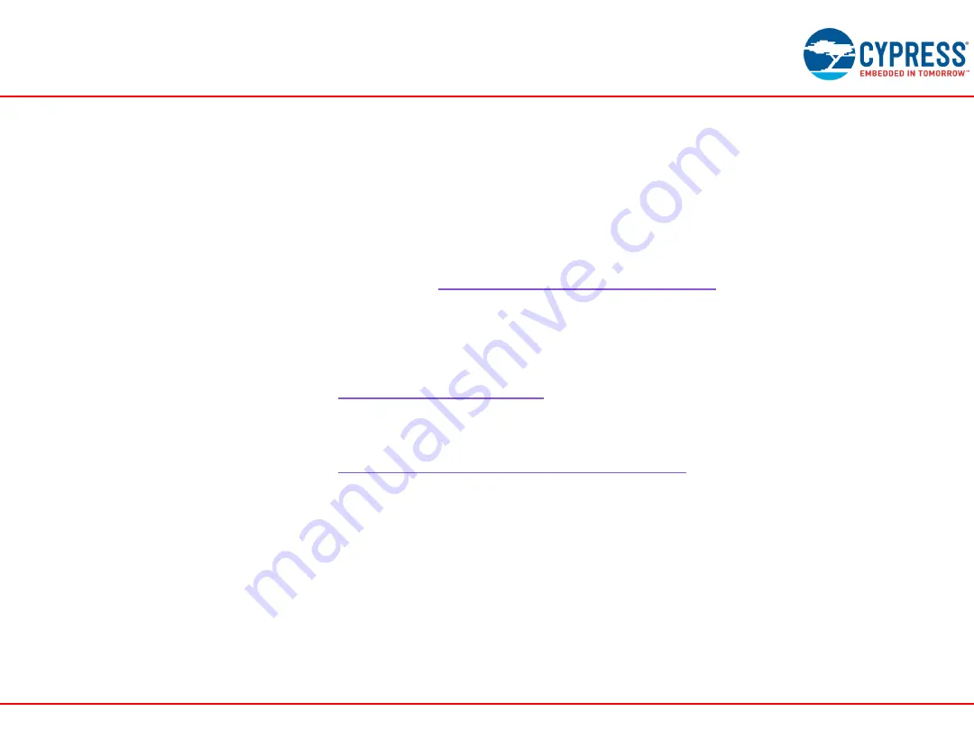 Cypress Semiconductor FM4-216-ETHERNET Manual Download Page 31