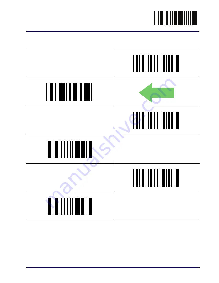 Datalogic Cobalto C05300 Скачать руководство пользователя страница 71