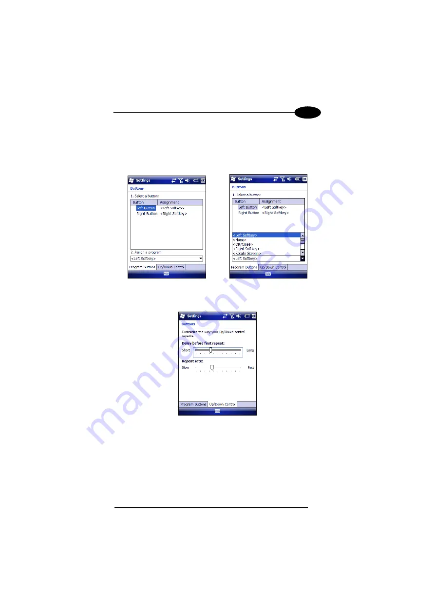 Datalogic Falcon X3 User Manual Download Page 51