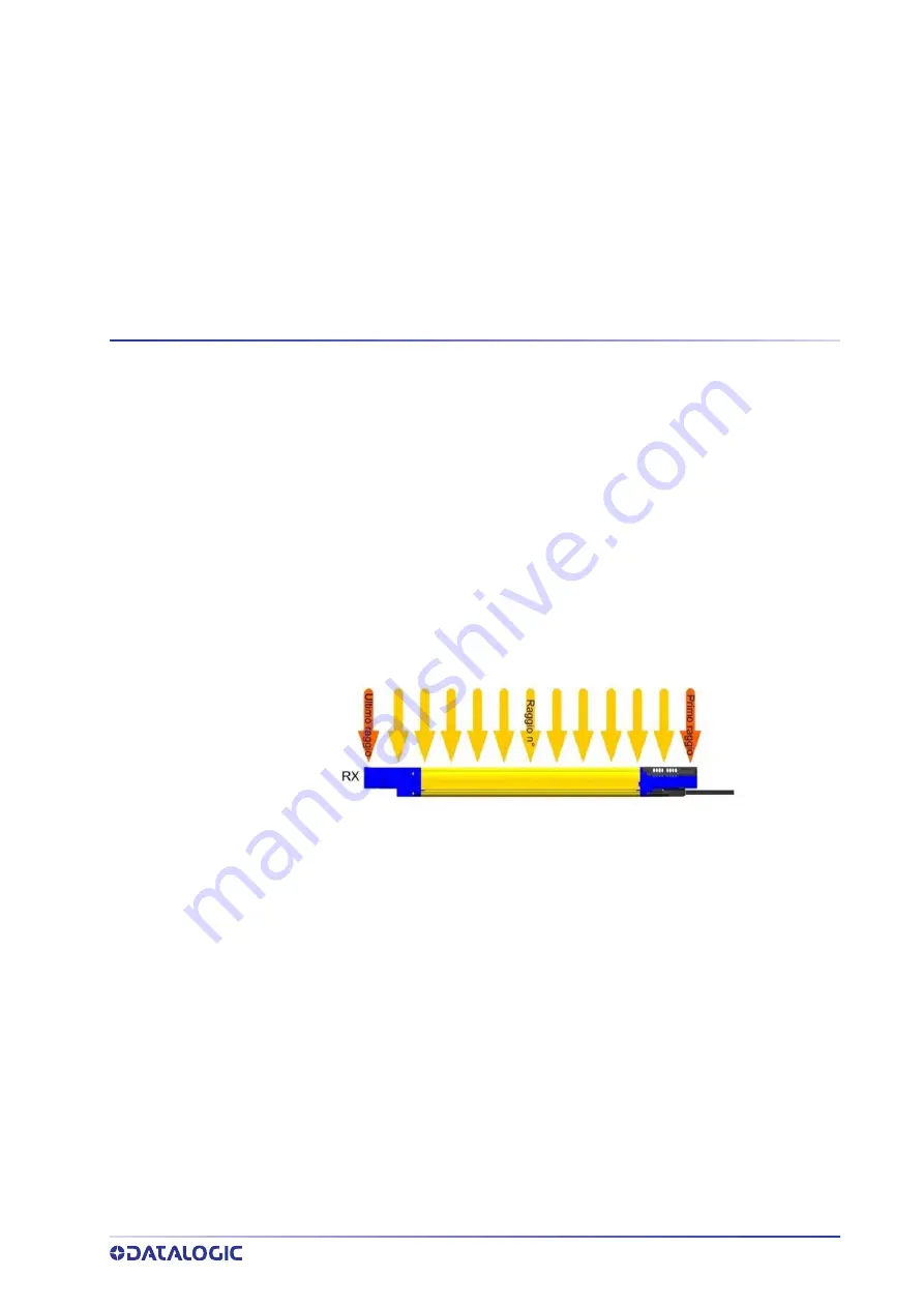 Datalogic SG4 FIELDBUS Series Instruction Manual Download Page 39