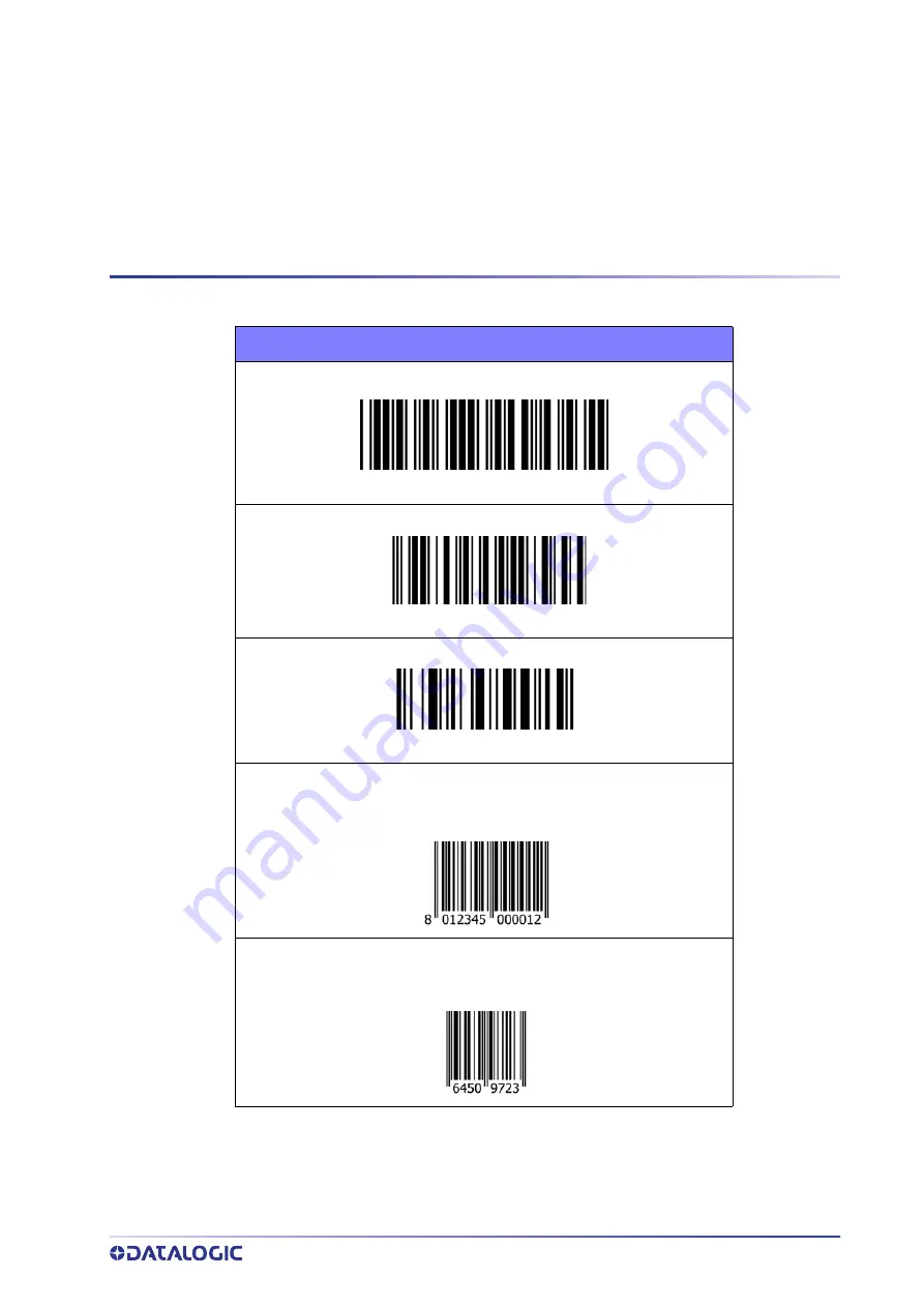 Datalogic Skorpio X5 User Manual Download Page 109