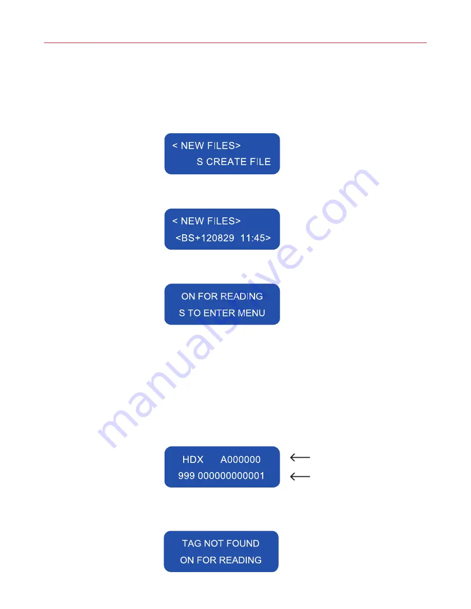 Datamars BLUESTICK Скачать руководство пользователя страница 3