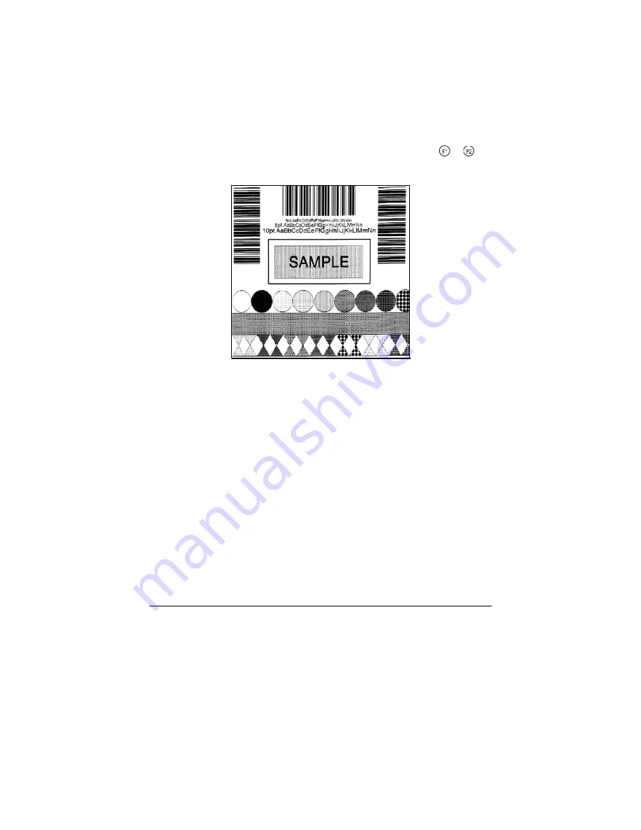 Datamax E Class E-4203 Operator'S Manual Download Page 49