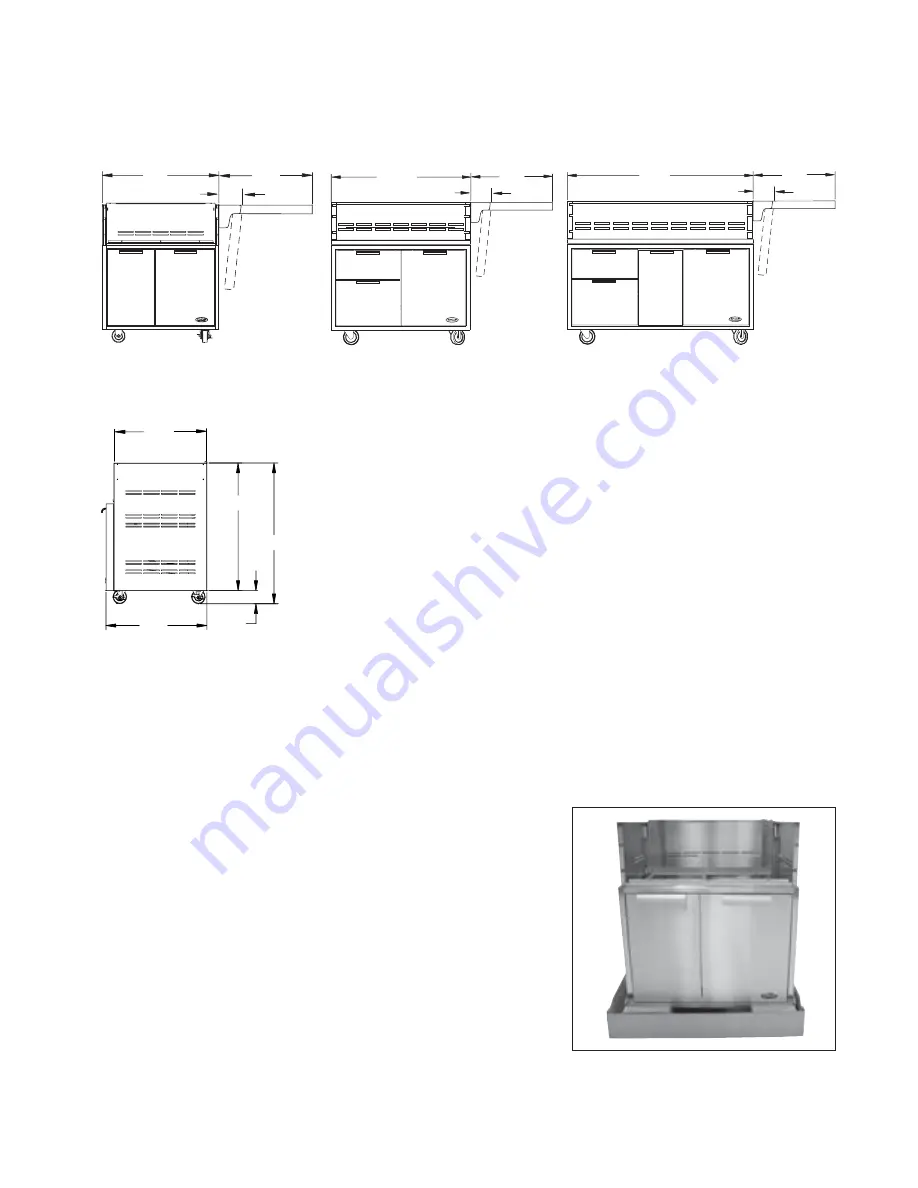 DCS CAD1 series Installation Instructions And User Manual Download Page 5