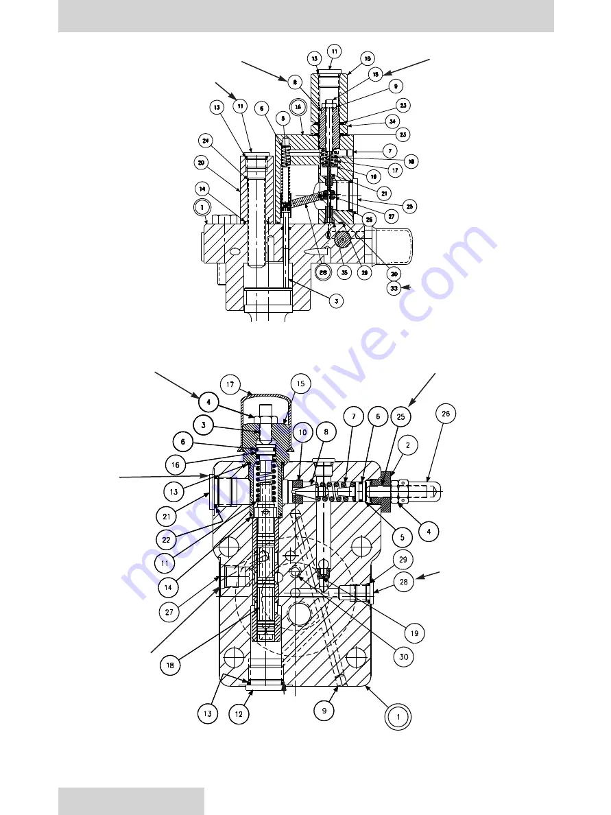 Denison Hydraulics P05 Скачать руководство пользователя страница 17