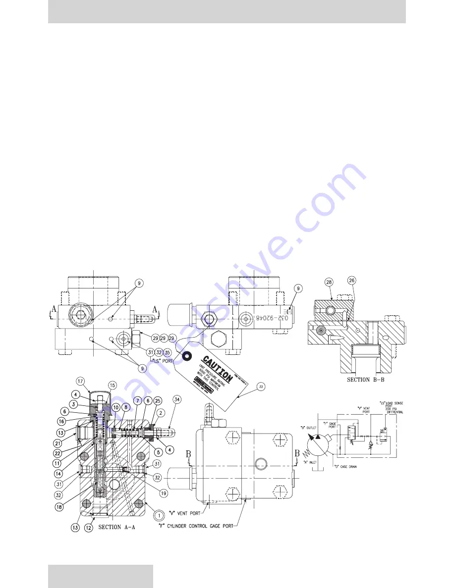 Denison Hydraulics P07 C-mod Скачать руководство пользователя страница 38