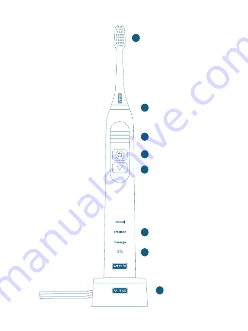 Dentaid Vitis Sonic S10 Скачать руководство пользователя страница 58