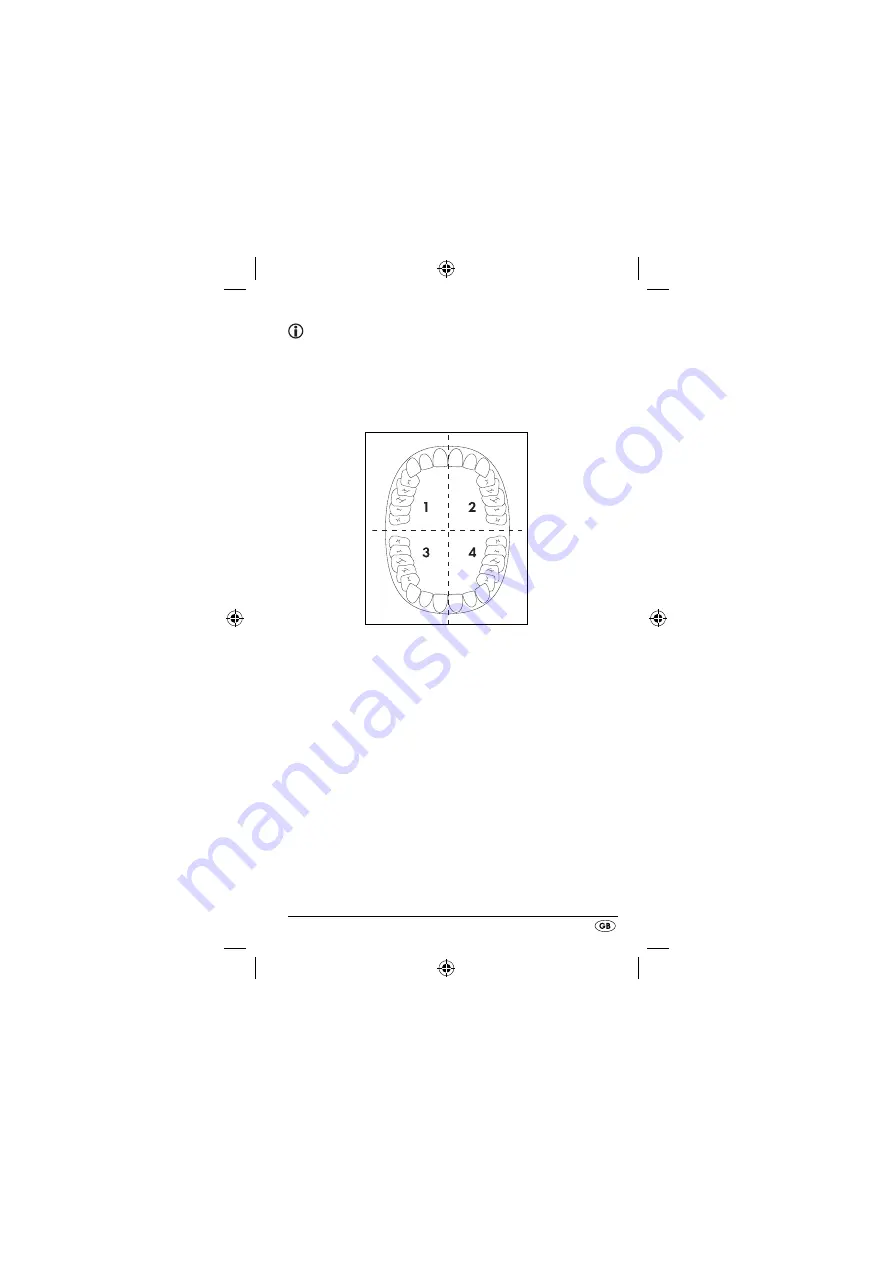 Dentalux 79918 Operating Instructions Manual Download Page 12