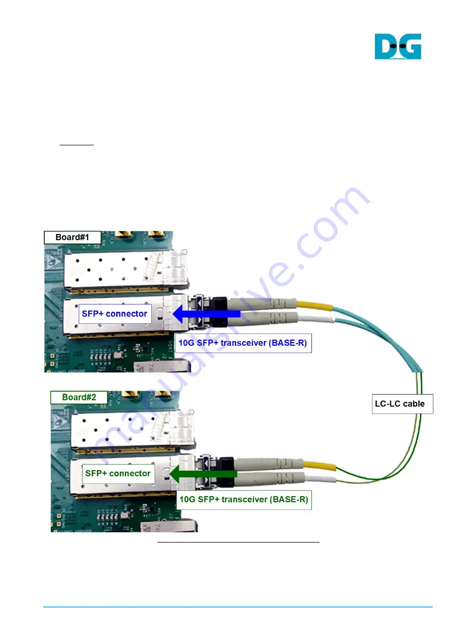 DG TOE10G-IP Скачать руководство пользователя страница 13