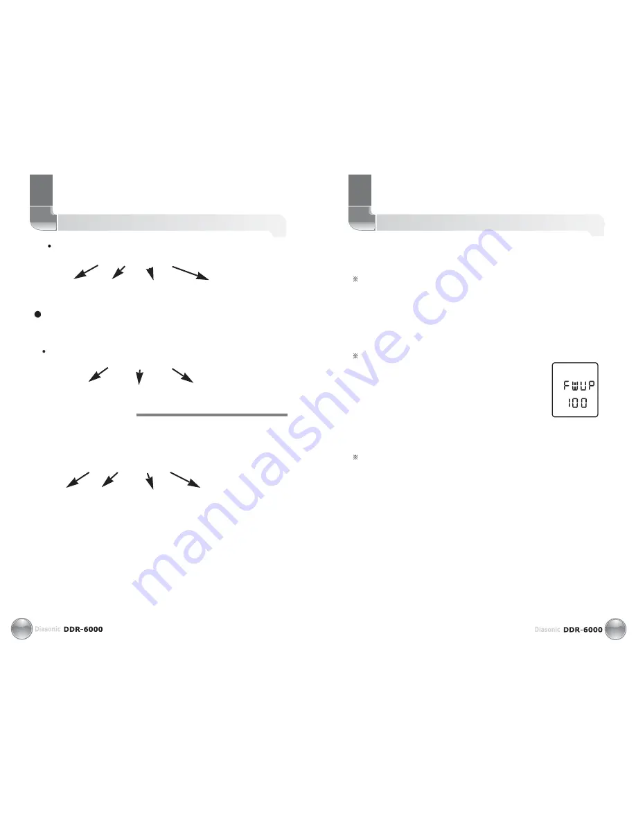 Diasonic DDR-6000 User Manual Download Page 17