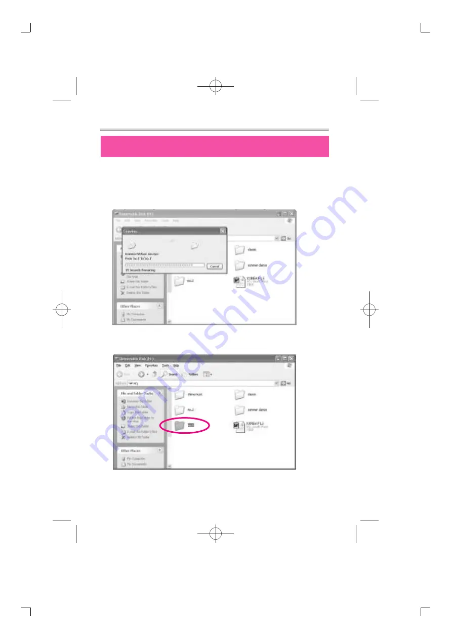 Diasonic DMP-105 Instruction Manual Download Page 31