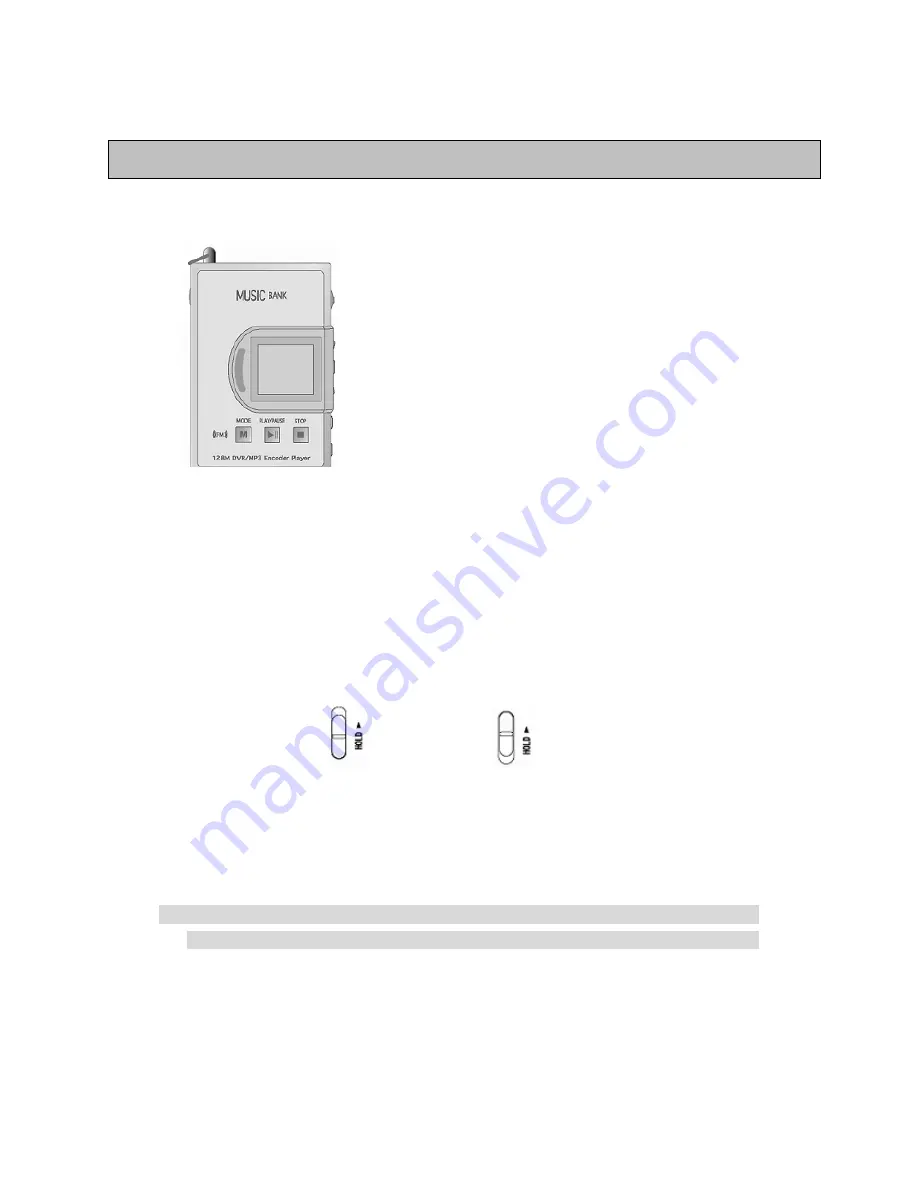 Diasonic DMP-200EN User Manual Download Page 12