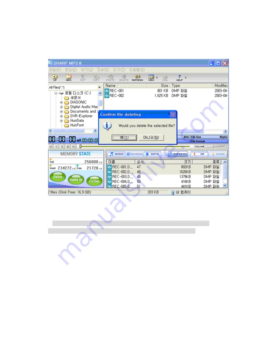 Diasonic DMP-200EN User Manual Download Page 45