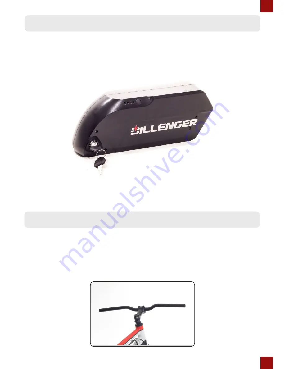 Dillenger CONVERSION KIT Скачать руководство пользователя страница 11