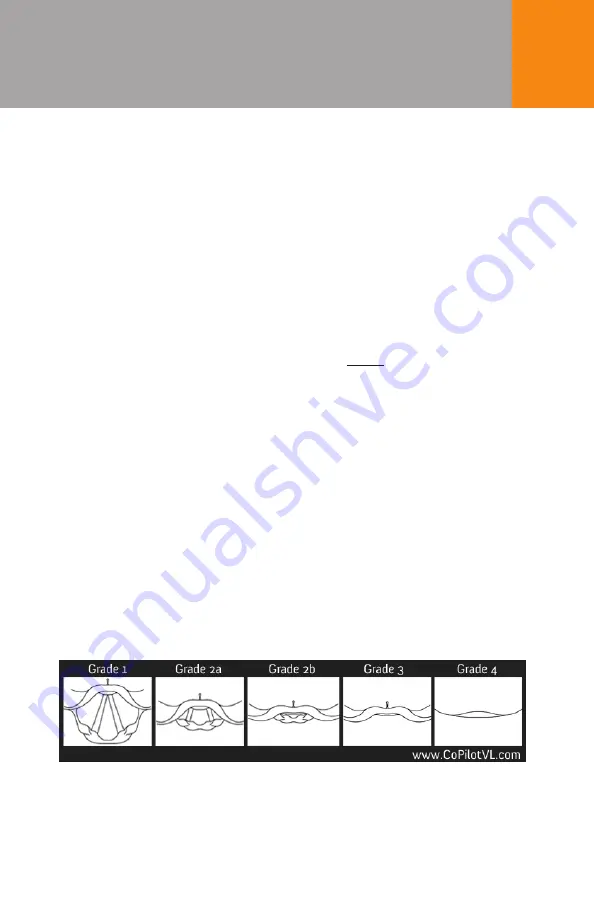 Dilon CoPilot VL+ Instructions For Use Manual Download Page 25