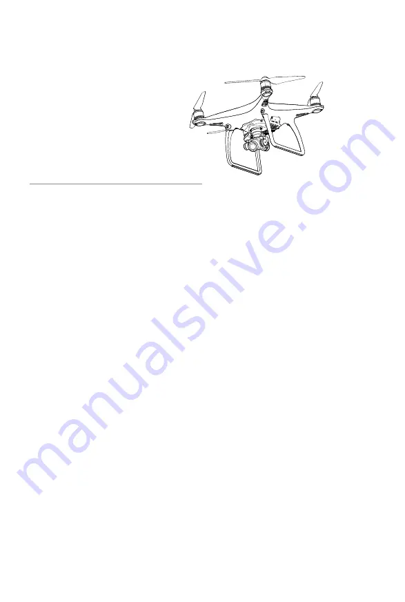 dji PHANTOM 4 User Manual Download Page 46