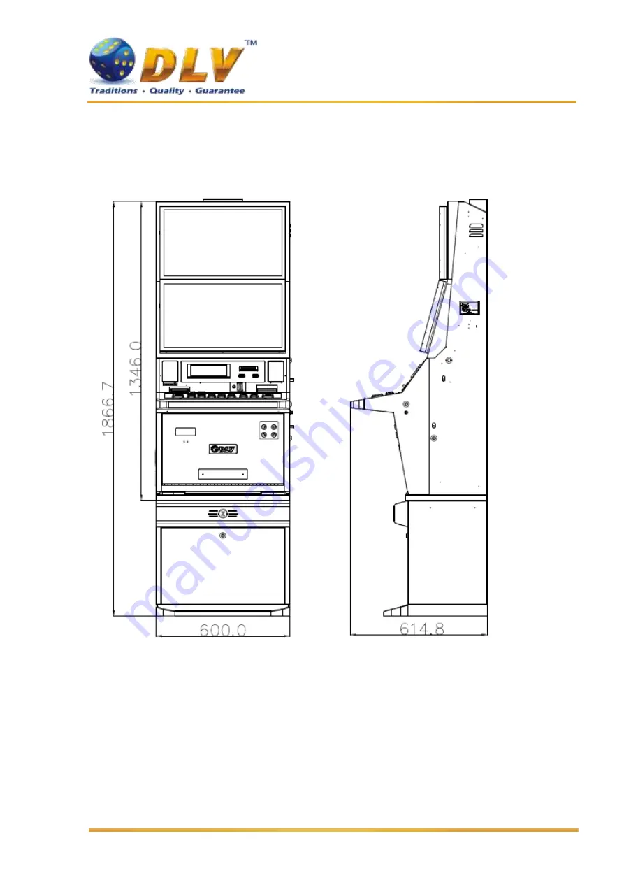 DLV Diamond Cabinet DZ Скачать руководство пользователя страница 6