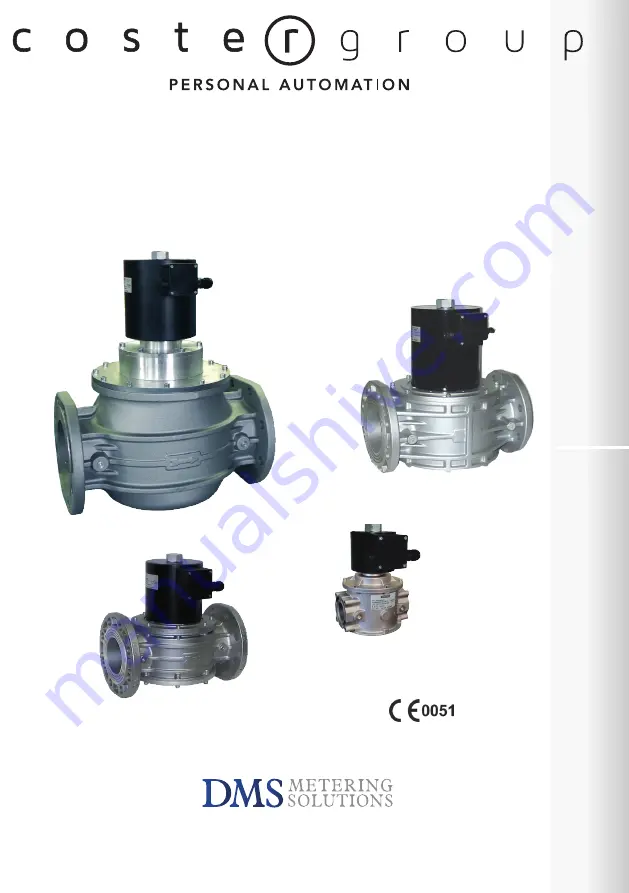 DMS DN 100 Скачать руководство пользователя страница 1