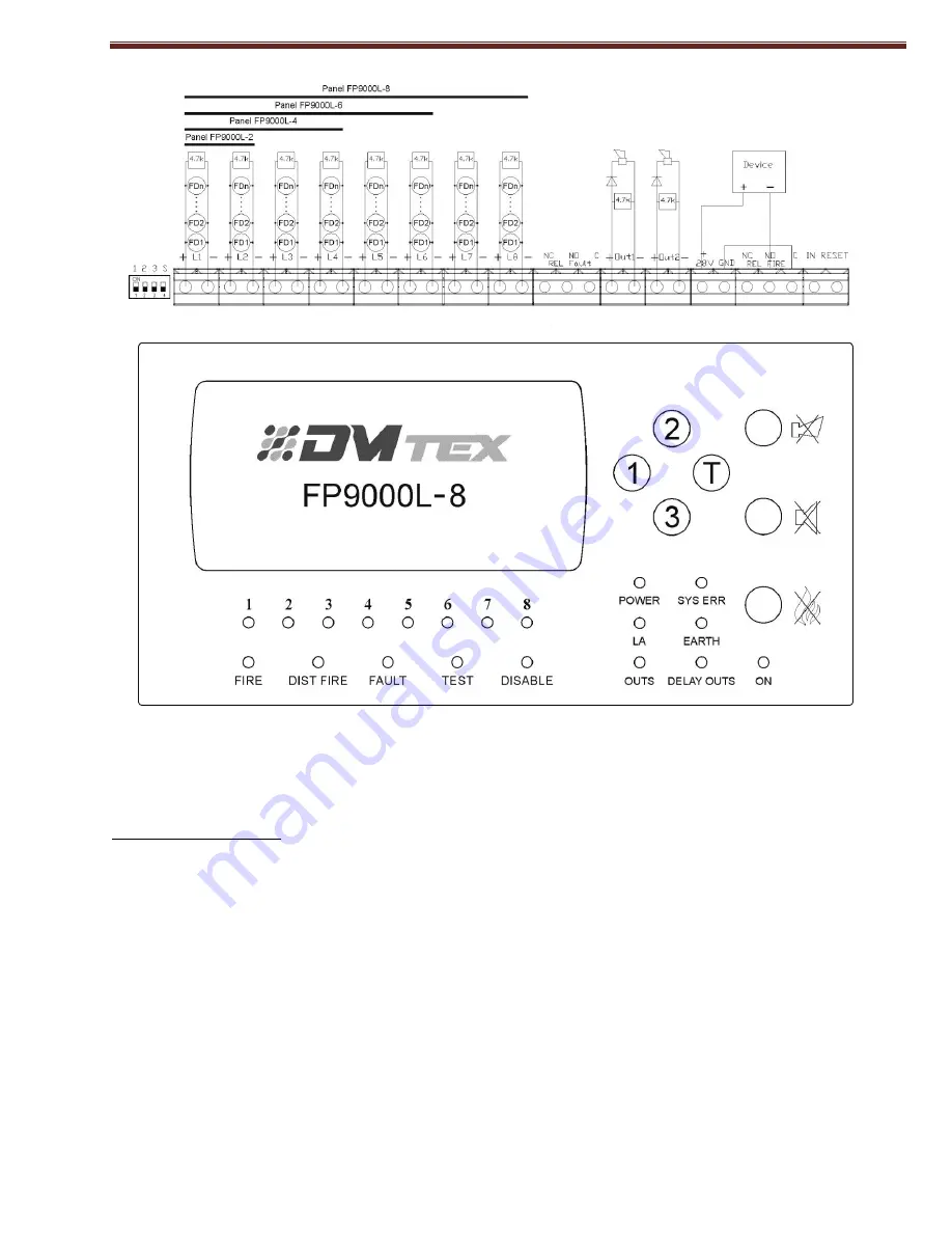 DMTech FP9000L-2 Скачать руководство пользователя страница 2