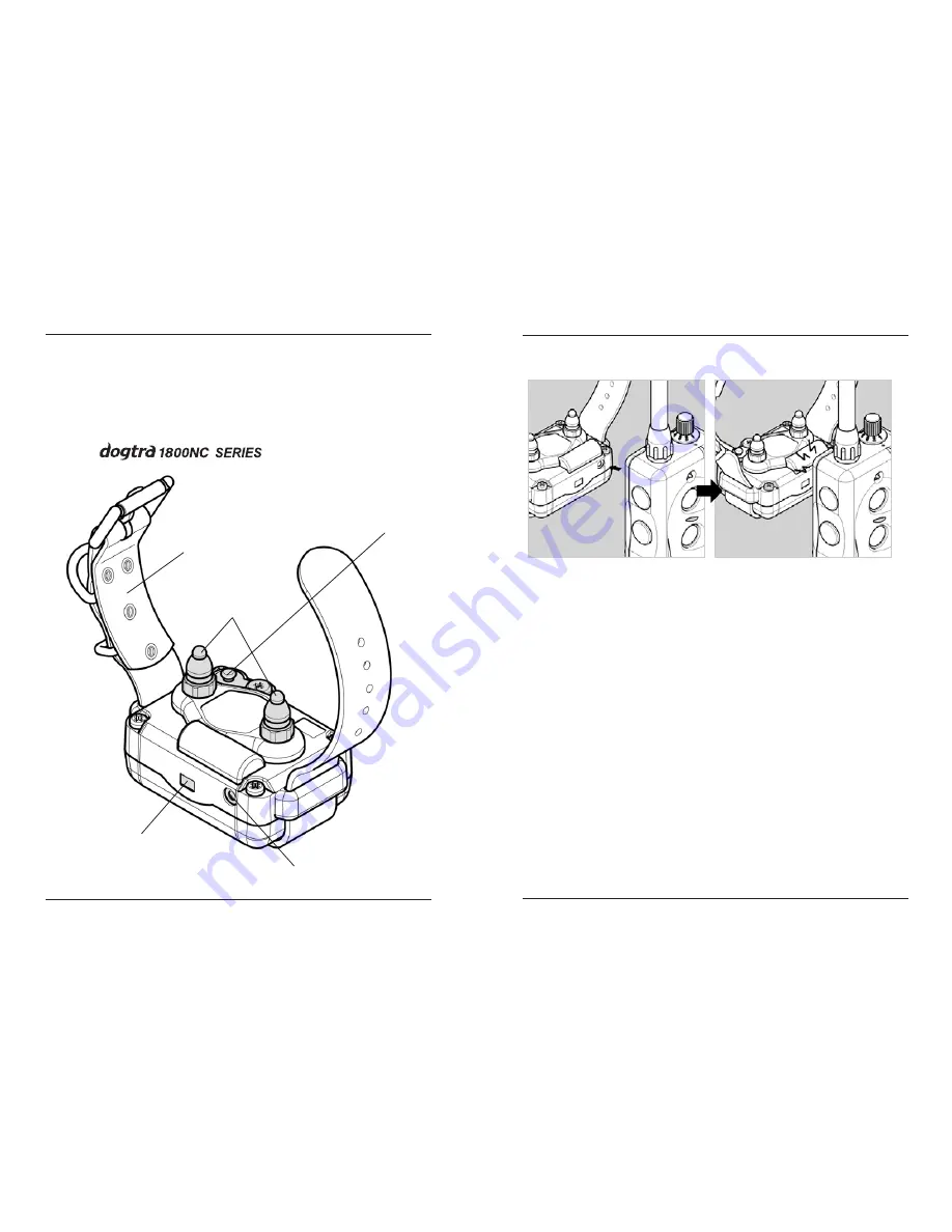 Dogtra 1800NC Series Скачать руководство пользователя страница 26