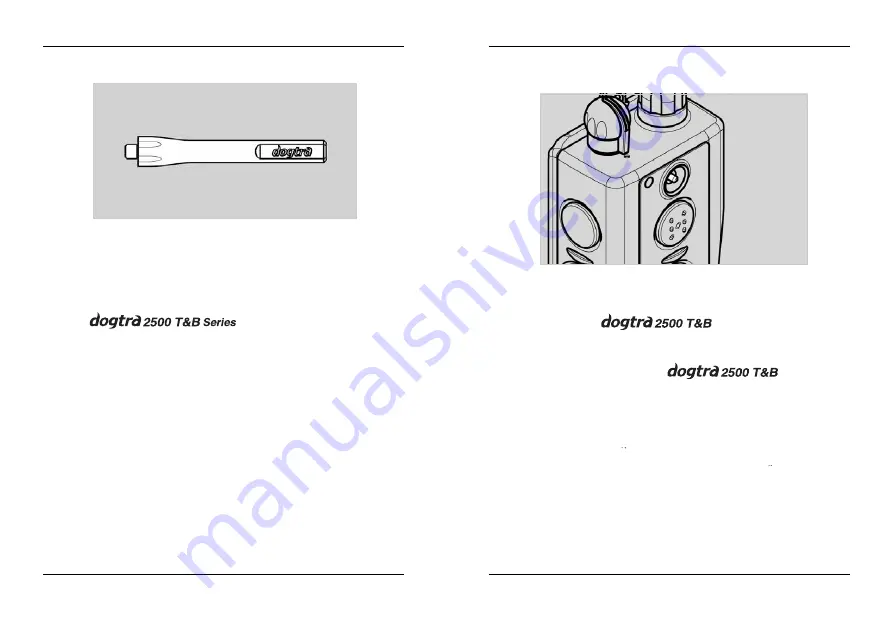 Dogtra 2500 T&B One-Dog Owner'S Manual Download Page 6