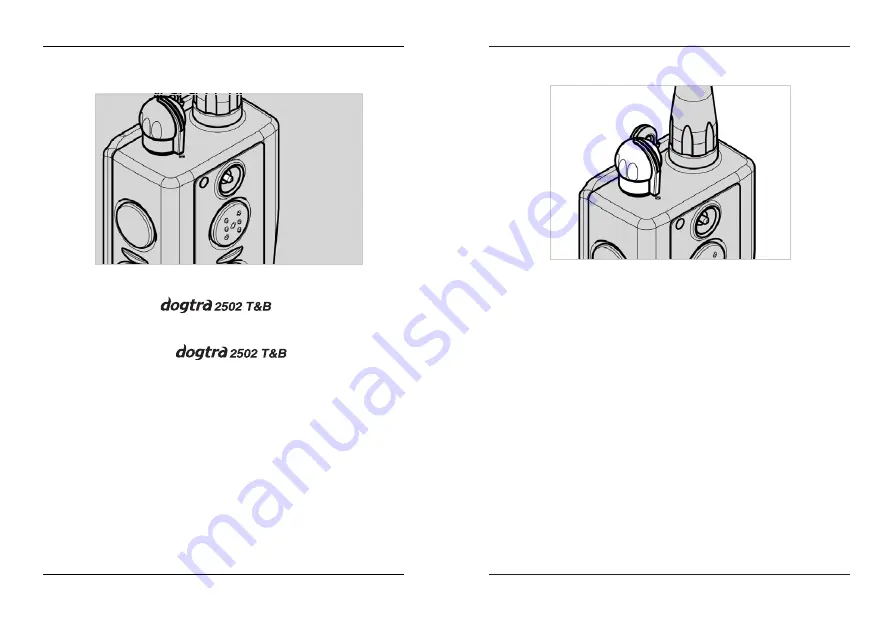 Dogtra 2500 T&B One-Dog Owner'S Manual Download Page 7