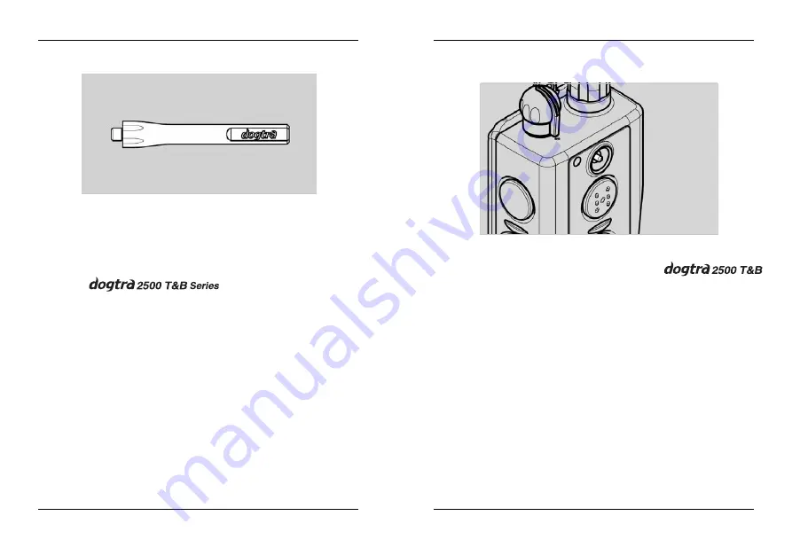 Dogtra 2500 T&B One-Dog Owner'S Manual Download Page 29