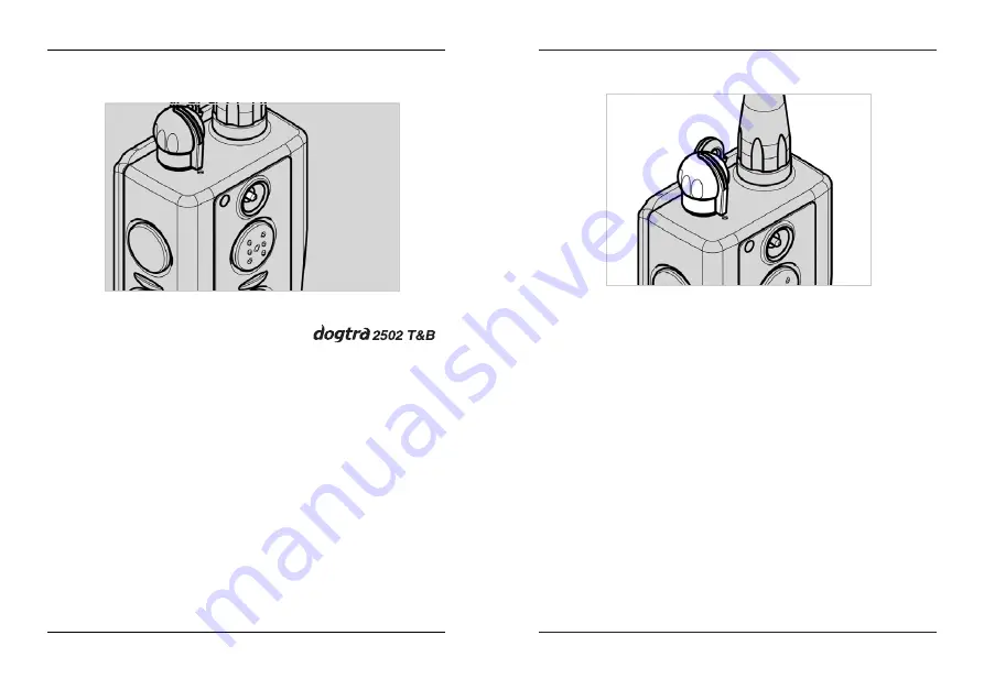 Dogtra 2500 T&B One-Dog Owner'S Manual Download Page 30