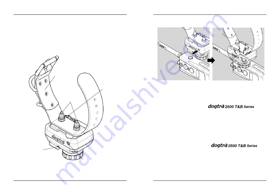 Dogtra 2500 T&B One-Dog Owner'S Manual Download Page 36