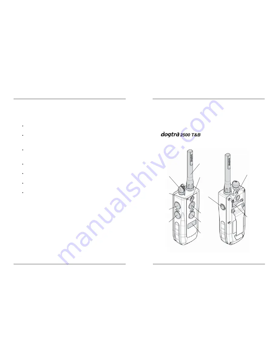 Dogtra 2500T&B Series Скачать руководство пользователя страница 6
