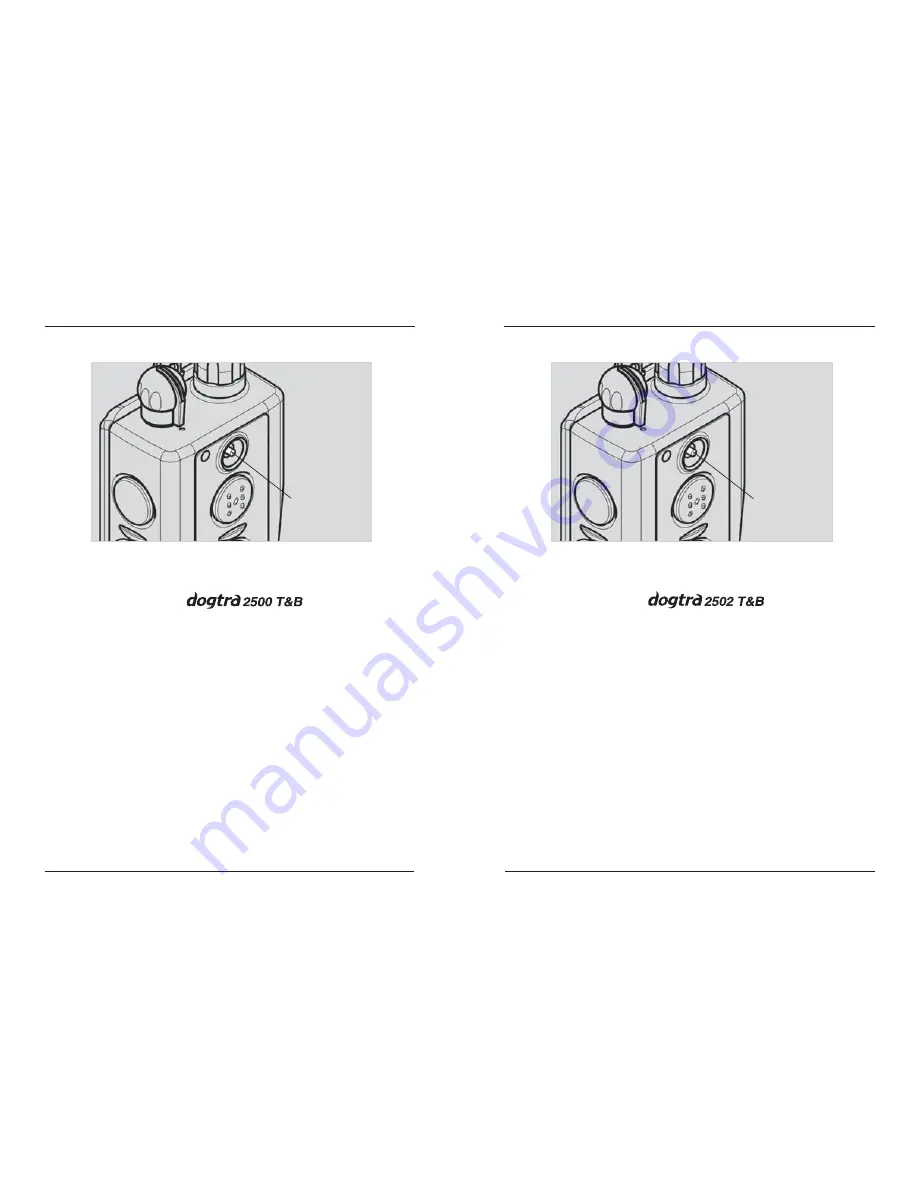 Dogtra 2500T&B Series Скачать руководство пользователя страница 8