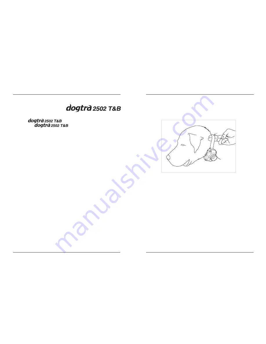 Dogtra 2500T&B Series Owner'S Manual Download Page 19