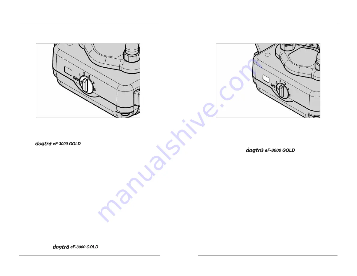 Dogtra EF3000 Manual Download Page 9