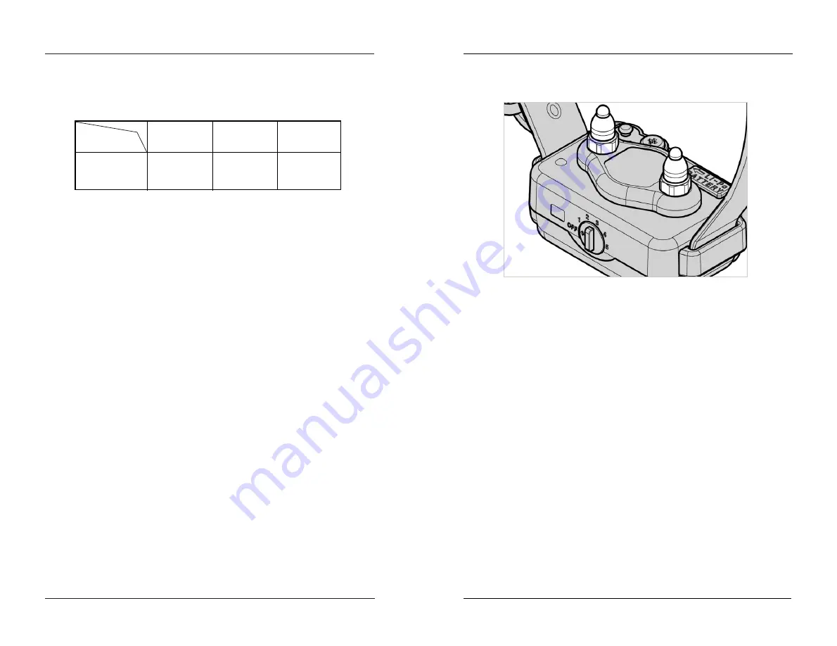 Dogtra EF3000 Manual Download Page 10