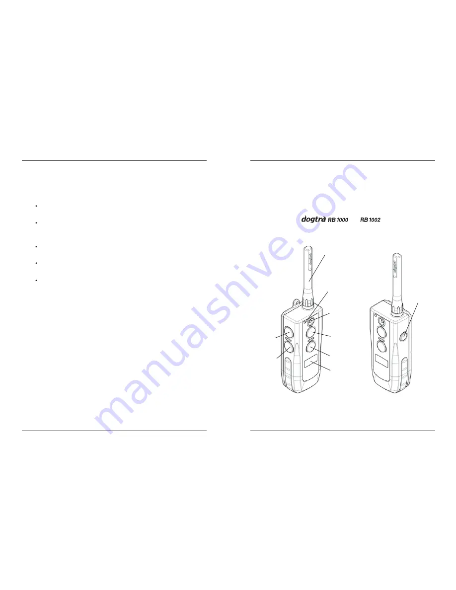 Dogtra RB 1000 Series Скачать руководство пользователя страница 5