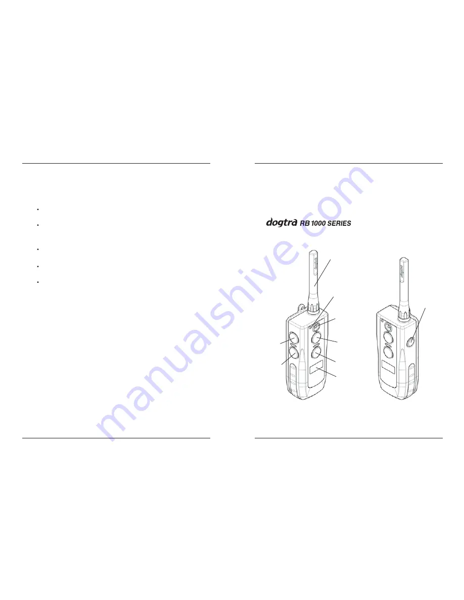 Dogtra RB 1000 Series Скачать руководство пользователя страница 24