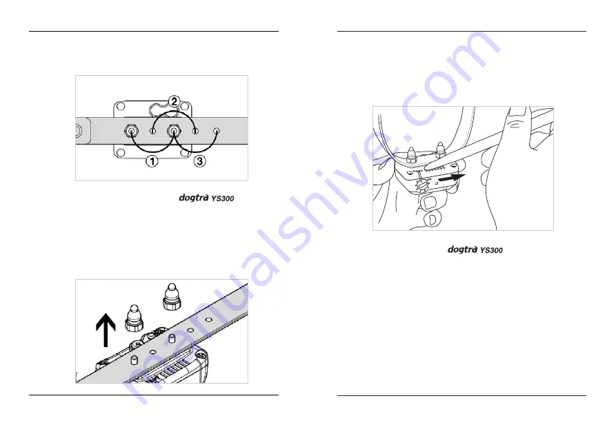 Dogtra YS100 Скачать руководство пользователя страница 8