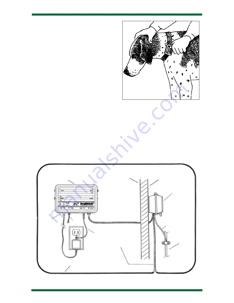 DogWatch PT3 Instructions For Use Manual Download Page 11