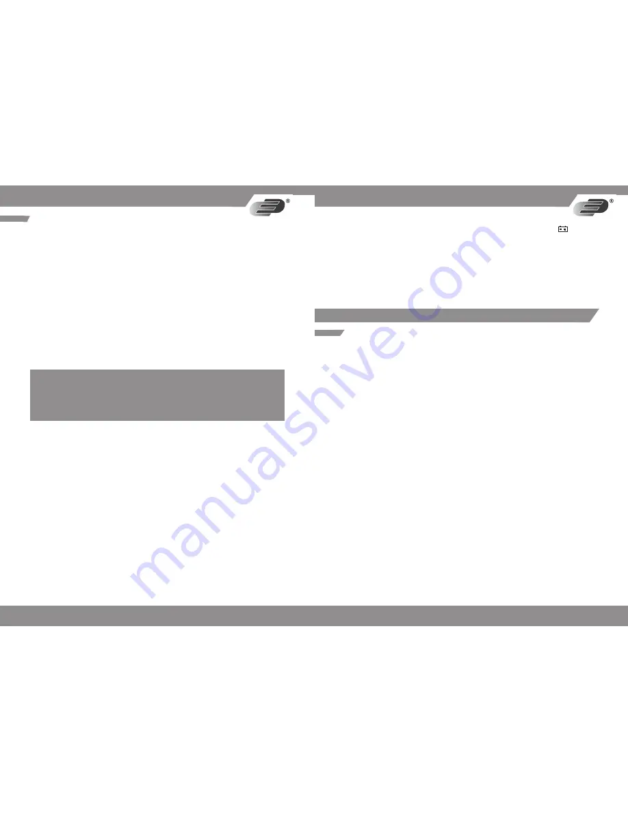 Dostmann Electronic MS 85 Скачать руководство пользователя страница 4