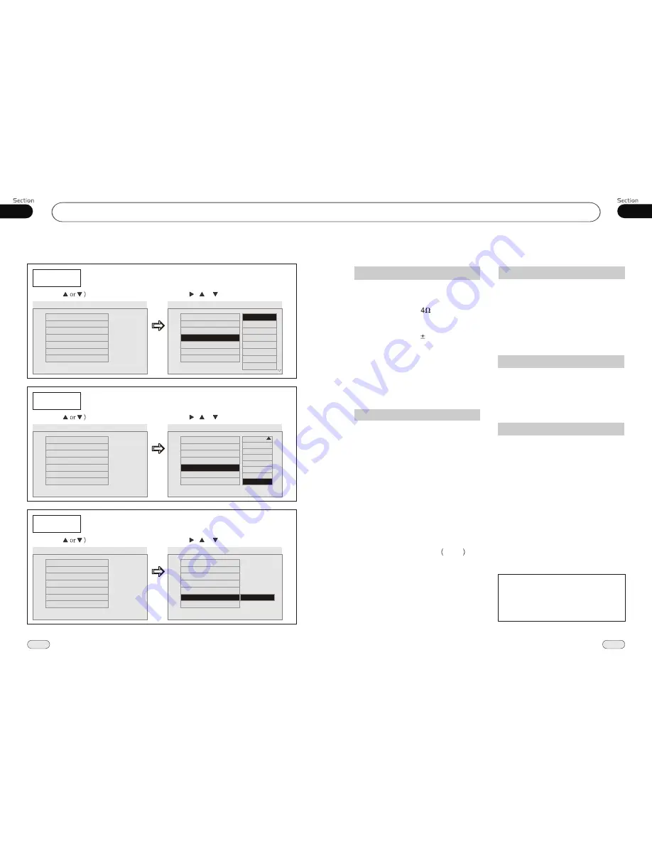 DP VIDEO DZP912 Operational Manual Download Page 11