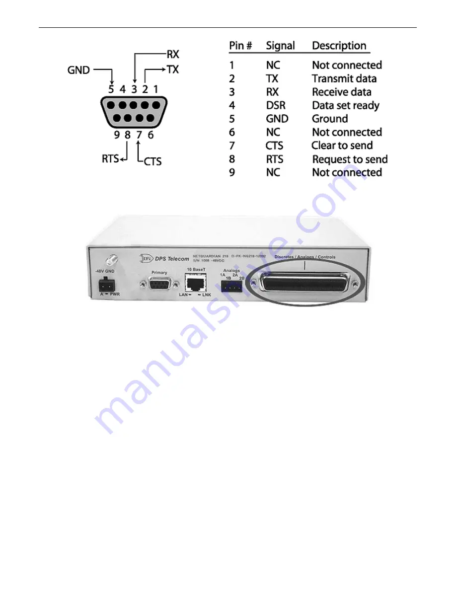 DPS Telecom NetGuardian 216 Скачать руководство пользователя страница 13