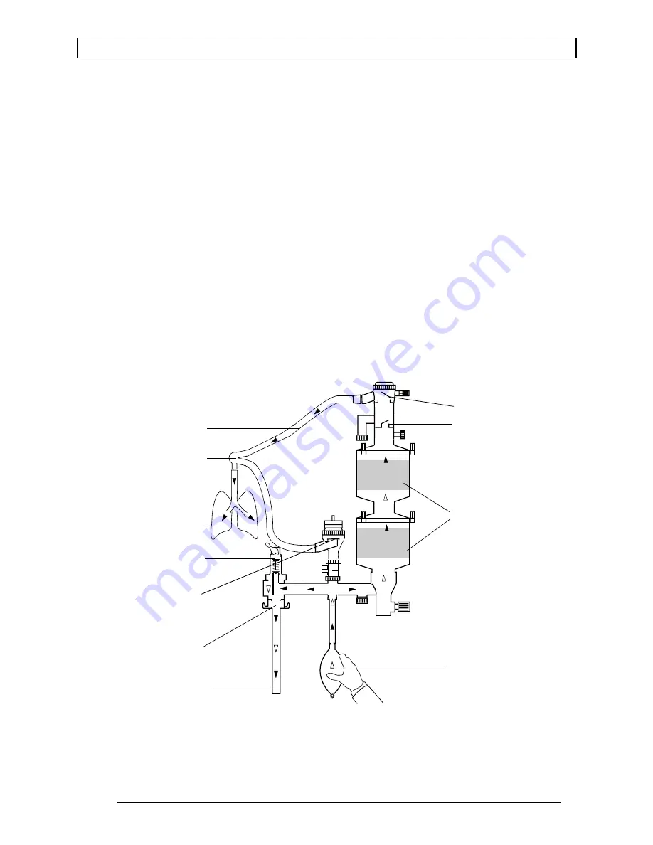 Dräger Fabius 4116029 Скачать руководство пользователя страница 33