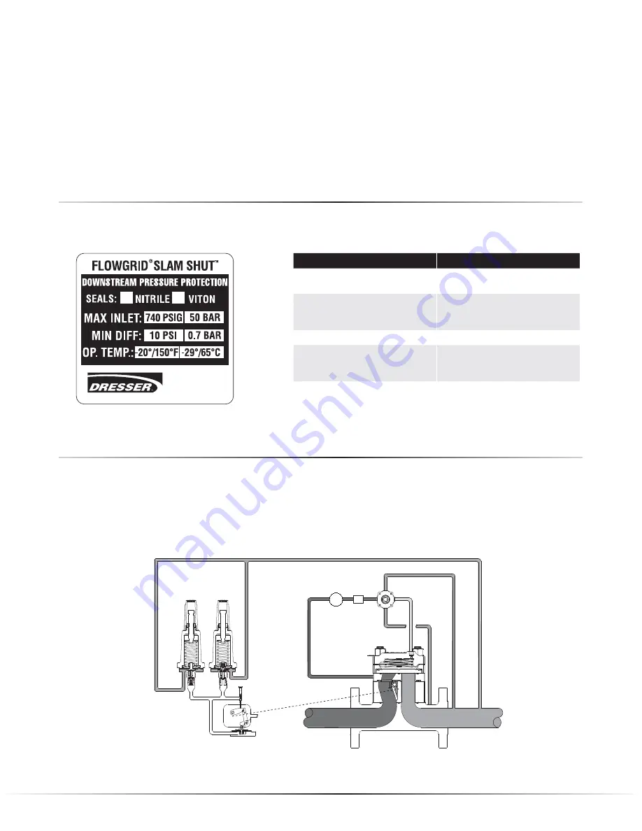 Dresser MOONEY FLOWGRID SLAM SHUT Скачать руководство пользователя страница 3