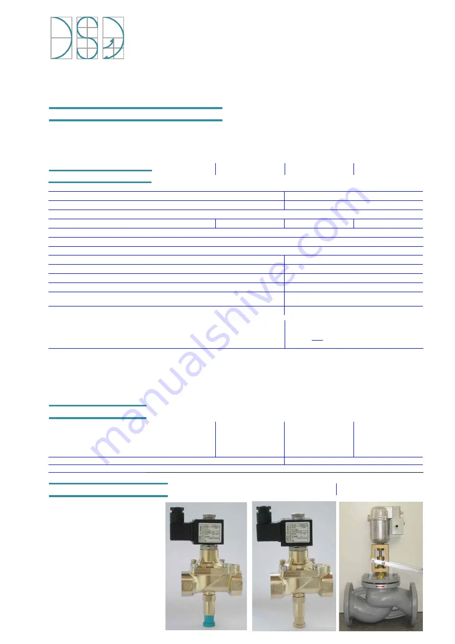 DS Dynatec DPBB Series Скачать руководство пользователя страница 1